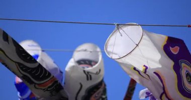 Parkta sazan desenli, gündüz güneşli yakın çekim. Sumida Bölgesi Tokyo - 05.08.2019 kamera: Canon EOS 5D mark4