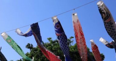 Parkta gündüz güneşli sazan streamer. Sumida district Tokyo Japan - 05.08.2019 kamera : Canon Eos 5d mark4