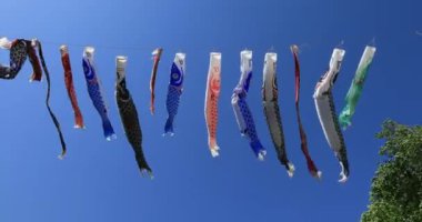 Parkta gündüz güneşli sazan streamer. Sumida district Tokyo Japan - 05.08.2019 kamera : Canon Eos 5d mark4