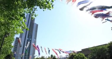 Parkta sazan desenli, gündüz güneşli, geniş açılı. Sumida Bölgesi Tokyo - 05.08.2019 kamera: Canon EOS 5D mark4