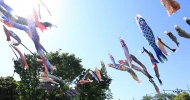 Parkta sazan desenli, gündüz güneşli, geniş açılı. Sumida Bölgesi Tokyo - 05.08.2019 kamera: Canon EOS 5D mark4