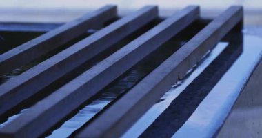 Geleneksel Japon tapınağında arındırma kanalı. Ota bölgesi Tokyo Japonya - 08.26.2019: Geleneksel tapınakta Chozuya adı verilen bir arındırma çukuru. Kamera: Canon EOS 5D işaret 4