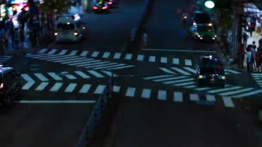 Şehir merkezindeki yüksek açılı neon sokağın gece görüntüsü. Shinjuku bölgesi Tokyo 08.29.2019