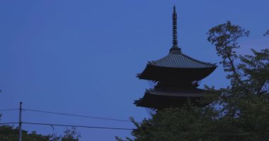 Japon geleneksel tapınak geniş çekim ana tapınak. Ota ilçesi Tokyo Japonya - 02.07.2019 : Geleneksel tapınakta ana tapınak. kamera : Canon Eos 5d mark4