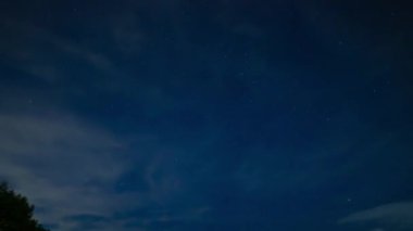 Gece vakti ormanda yıldızlı bir gökyüzü görüntüsü yayılıyor. Hamamatsu Bölgesi Shizuoka Japonya - 09.06.2019: Kamera: Canon EOS 5D mark4