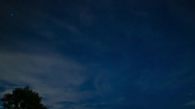 Gece vakti ormanda yıldızlı bir gökyüzü görüntüsü yayılıyor. Hamamatsu Bölgesi Shizuoka Japonya - 09.06.2019: Kamera: Canon EOS 5D mark4
