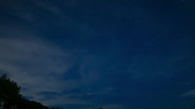 Gece vakti ormanda yıldızlı bir gökyüzü görüntüsü. Geniş açıda. Hamamatsu Bölgesi Shizuoka Japonya - 09.06.2019: Kamera: Canon EOS 5D mark4