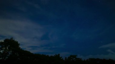 Ormanda yıldızlı bir gökyüzü zamanı. Gece geniş açıda. Hamamatsu Bölgesi Shizuoka Japonya - 09.06.2019: Kamera: Canon EOS 5D mark4