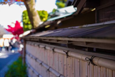 Sonbaharda Kyoto 'da kırmızı akçaağaç yaprakları. Yüksek kalite 4K görüntü. Kyoto Bölgesi Minamiku Kyoto Japonya 12.02.2023