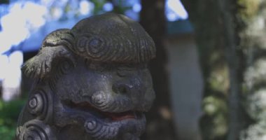 Tokyo 'daki Nanasha tapınağında geleneksel bir manzara. Yüksek kalite 4K görüntü. Kita bölgesi Nishigawara Tokyo 10.11.2024 Tokyo 'da bir Japon tapınağıdır.. 