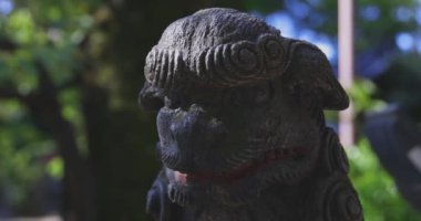 Tokyo 'daki Nanasha tapınağında geleneksel bir manzara. Yüksek kalite 4K görüntü. Kita bölgesi Nishigawara Tokyo 10.11.2024 Tokyo 'da bir Japon tapınağıdır.. 