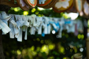 Tokyo 'daki Nanasha tapınağında şans yüzümüze güldü. Yüksek kalite fotoğraf. Kita bölgesi Nishigawara Tokyo 10.11.2024 Tokyo 'da bir Japon tapınağıdır.. 