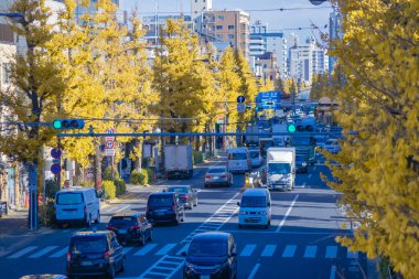 Sarı gingko ağaçlarının olduğu caddede trafik sıkışıklığı. Yüksek kalite fotoğraf. Suginami Bölgesi Tokyo 12.19.2024 Sonbaharda Tokyo 'nun merkezidir.. 
