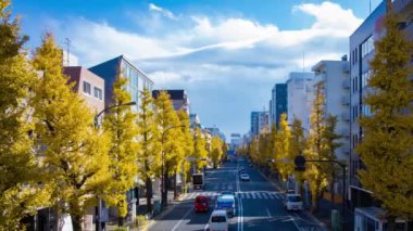 Tokyo 'da sarı gingko ağacı olan bir trafik sıkışıklığı zamanı. Yüksek kalite 4K görüntü. Suginami Bölgesi Tokyo 12.19.2024 Sonbaharda Tokyo 'nun merkezidir.. 