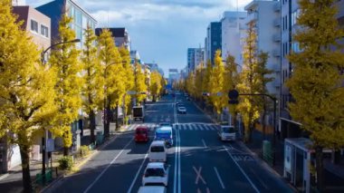 Tokyo 'da sarı gingko ağacı olan bir trafik sıkışıklığı zamanı. Yüksek kalite 4K görüntü. Suginami Bölgesi Tokyo 12.19.2024 Sonbaharda Tokyo 'nun merkezidir.. 