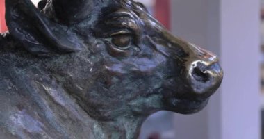 Tokyo 'daki Kameido Tenjin türbesi. Yüksek kalite 4K görüntü. Kouto Bölgesi Kameido Tokyo Japonya 01.12.2023 Tokyo 'da geleneksel bir bölgedir..