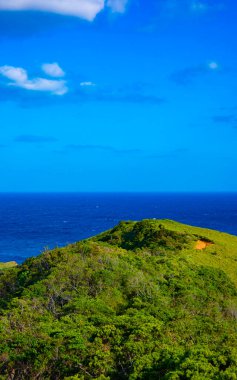 mavi okyanus yakınlarındaki burun. Amami oshima ilçe Kagoşima Japonya - 05.21.2019