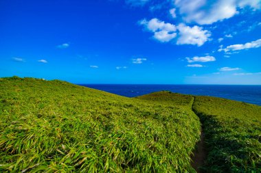 mavi okyanus yakınlarındaki burun. Amami oshima ilçe Kagoşima Japonya - 05.21.2019