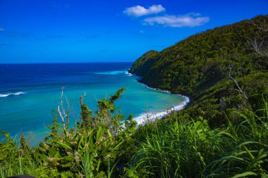 mavi okyanus yakınlarındaki burun. Amami oshima ilçe Kagoşima Japonya - 05.21.2019