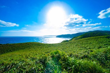 mavi okyanus yakınlarındaki burun. Amami oshima ilçe Kagoşima Japonya - 05.21.2019