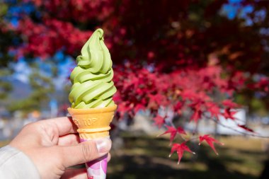 Yeşil çay aromalı yumuşak krema ve erkek eli kırmızı yaprakların arkasında. Yüksek kalite fotoğraf. Kyoto Bölgesi Minami Kyoto Japonya 12.02.2023