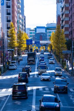 Sonbaharda kentin gingko ağacı caddesinde trafik sıkışıklığı fotoğrafı. Yüksek kalite fotoğraf. Toshima Bölgesi Ikebukuro Tokyo Japonya 12.12.2024 Sonbaharda Tokyo 'nun merkezidir..