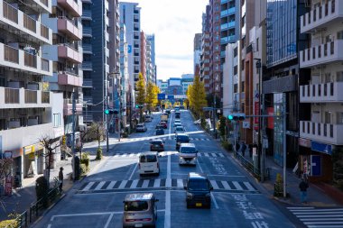 Sonbaharda kentin gingko ağacı caddesinde trafik sıkışıklığı fotoğrafı. Yüksek kalite fotoğraf. Toshima Bölgesi Ikebukuro Tokyo Japonya 12.12.2024 Sonbaharda Tokyo 'nun merkezidir..