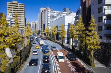 Sonbaharda kentin gingko ağacı caddesinde trafik sıkışıklığı fotoğrafı. Yüksek kalite fotoğraf. Toshima Bölgesi Ikebukuro Tokyo Japonya 12.12.2024 Sonbaharda Tokyo 'nun merkezidir..
