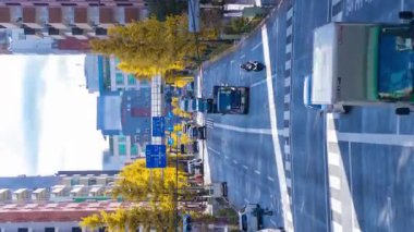 Sonbaharda kentin gingko ağacı caddesinde trafik sıkışıklığı zamanı. Yüksek kalite 4K görüntü. Toshima Bölgesi Ikebukuro Tokyo Japonya 12.12.2024 Sonbaharda Tokyo 'nun merkezidir..