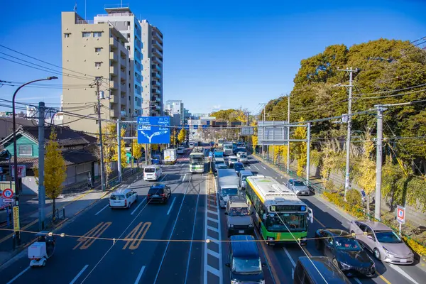 Sarı gingko ağacı caddesinde trafik sıkışıklığı ve tramvay. Yüksek kalite fotoğraf. Kita bölgesi Ouji Tokyo Japonya 12.12.2024 Tokyo 'nun merkezidir..