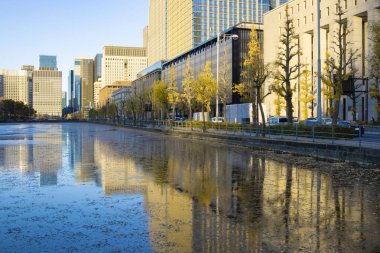 İş kasabasındaki gingko ağacı caddesinde alacakaranlık trafiği sıkışık. Yüksek kalite fotoğraf. Chiyoda bölgesi Otemachi Tokyo 04.04.2025 Tokyo 'nun merkezidir.. 