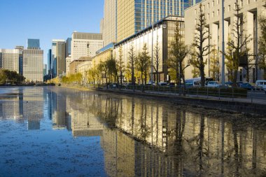 İş kasabasındaki gingko ağacı caddesinde alacakaranlık trafiği sıkışık. Yüksek kalite fotoğraf. Chiyoda bölgesi Otemachi Tokyo 04.04.2025 Tokyo 'nun merkezidir.. 