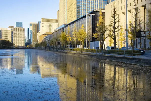 İş kasabasındaki gingko ağacı caddesinde alacakaranlık trafiği sıkışık. Yüksek kalite fotoğraf. Chiyoda bölgesi Otemachi Tokyo 04.04.2025 Tokyo 'nun merkezidir.. 