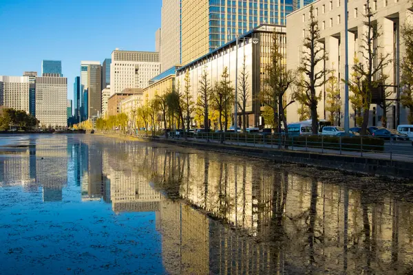 İş kasabasındaki gingko ağacı caddesinde alacakaranlık trafiği sıkışık. Yüksek kalite fotoğraf. Chiyoda bölgesi Otemachi Tokyo 04.04.2025 Tokyo 'nun merkezidir.. 