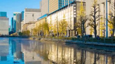 Otemachi Tokyo 'daki Ginggko Tree Caddesi' nde trafik sıkışıklığının alacakaranlık zamanı. Yüksek kalite 4K görüntü. Chiyoda bölgesi Otemachi Tokyo 04.04.2025 Tokyo 'nun merkezidir.. 