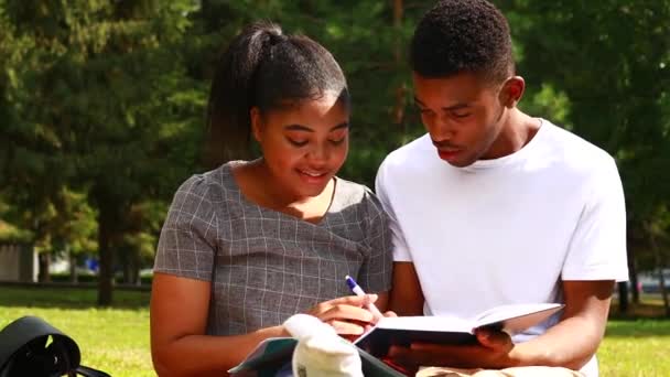 Jonge Twee Studenten Zitten Het Park Met Boeken Het Zonnige — Stockvideo