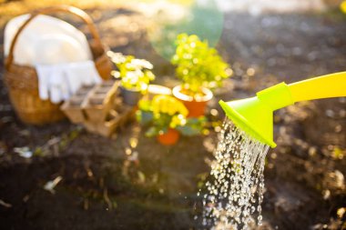 Bahçıvanlık aletleri tohum ekme mevsimini başlatır. Güneş ışığını sularlar..