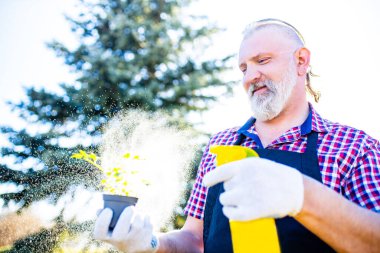 Baharda bahçede beyaz saçlı ve sakallı adam .