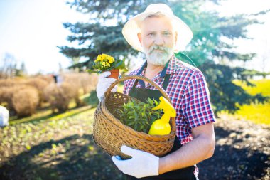 Baharda bahçede beyaz saçlı ve sakallı adam .
