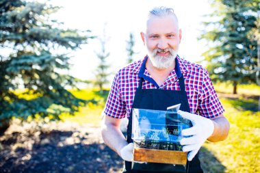 Güzel görünümlü gri saçlı sakallı adam emekli serada fideleri suluyor güneşli bahar gününde. .