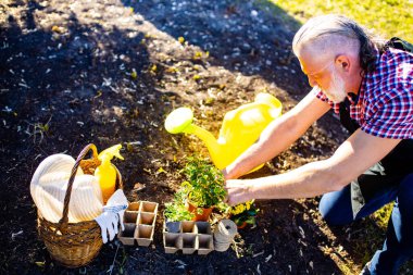 Baharda bahçede beyaz saçlı ve sakallı adam .