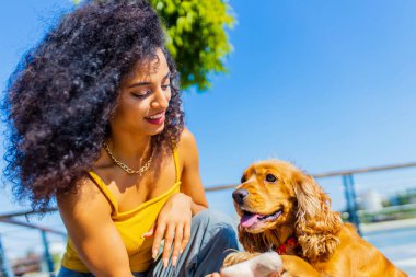 Makyajlı ve kıvırcık saç stili harcayan çok kültürlü bir kadın. Güneşli bir günde altın renkli Amerikan Cocker köpeğiyle mutlu zamanlar geçiriyor. .