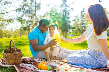 Mutlu çokuluslu yarış ailesi piknikte yemek sepetiyle çimenlikte ekose üzerinde oturuyor..