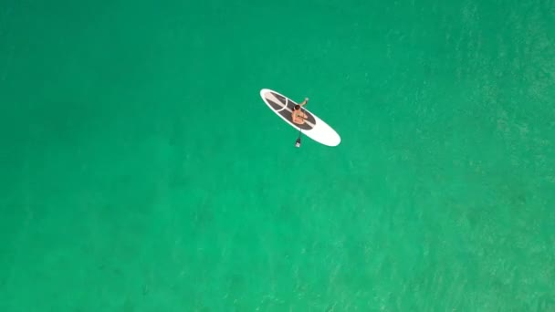 몰디브 청록색 바다에 평면도 여자를 공중에서 — 비디오