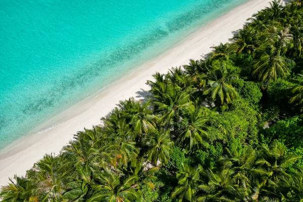 stock image stunning blue ocean and sandy white island maldives top drone aeral view deserted hidden Maldives beach copyspace for text.