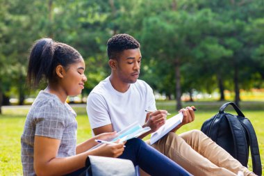 Afro-Amerikalı arkadaşlar güneşli bir günde parkta üniversite kampüsünde bilgi paylaşıyorlar..