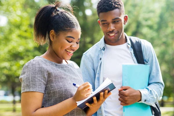 stock image afro american friends sharing knowledge in the university campus at sunny day outdoors in park.