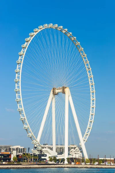 stock image Happy woman tourist look at one of the largest Ferris Wheels in the World, located on Bluewaters island in Dubai.