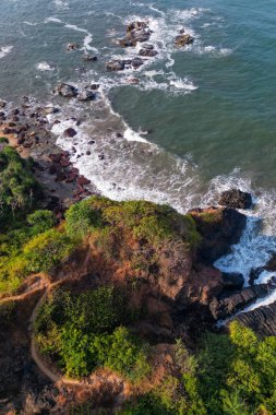 Goa 'da güneş ışığı altında yeşil palmiye ağaçlarıyla tropikal plajda hava manzarası.