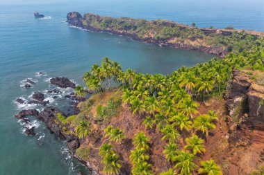 Goa 'da güneş ışığı altında yeşil palmiye ağaçlarıyla tropikal plajda hava manzarası.